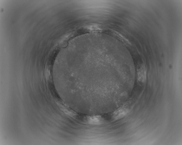 X0000061730618200512231436