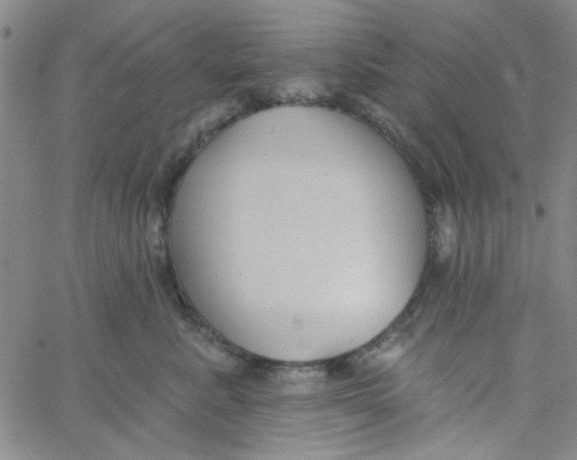 X0000061730619200512231436