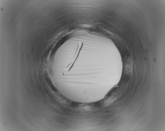 X0000061730620200512231436