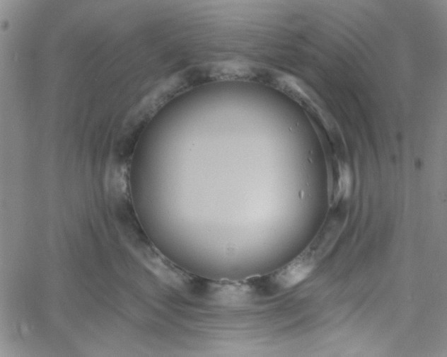 X0000061730621200512231436