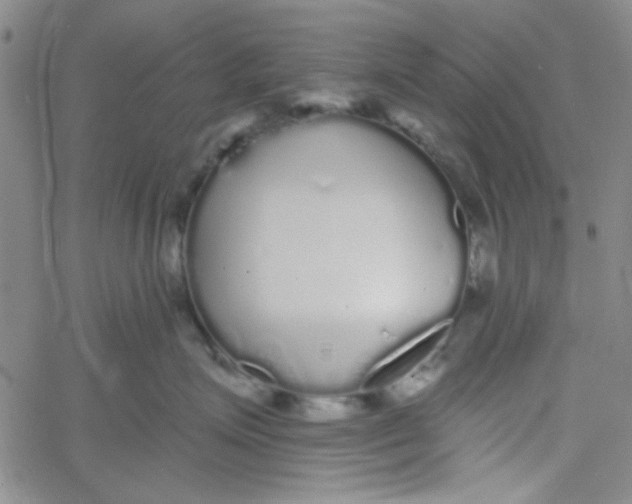 X0000061730623200512231436