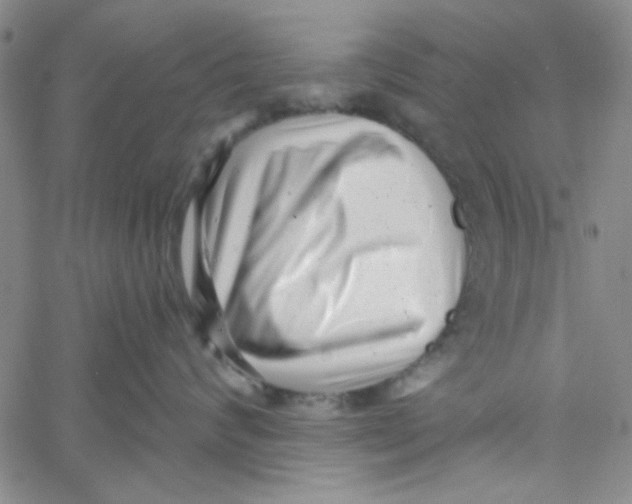 X0000061730624200512231436