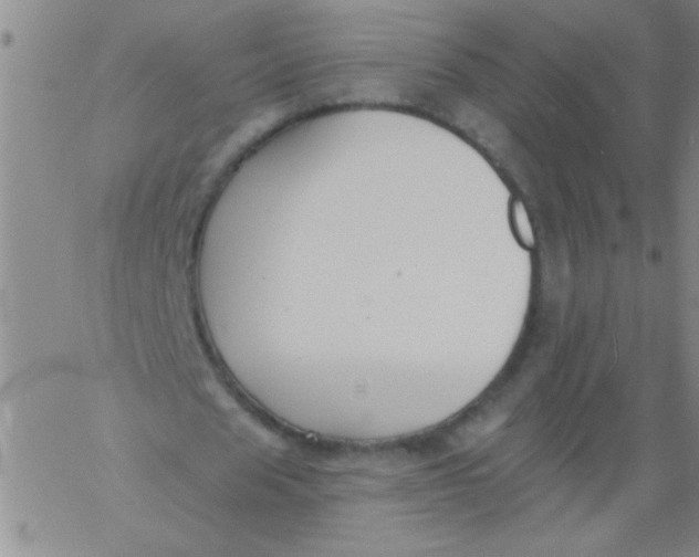 X0000061730625200512231435