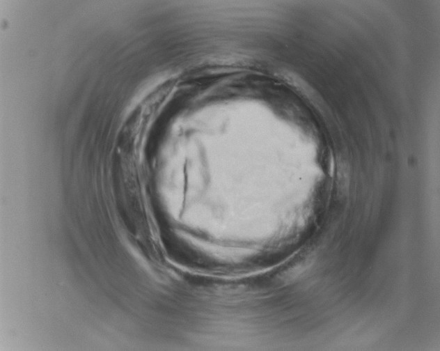 X0000061730626200512231435