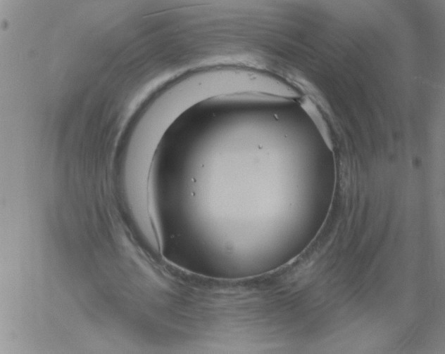 X0000061730628200512231435