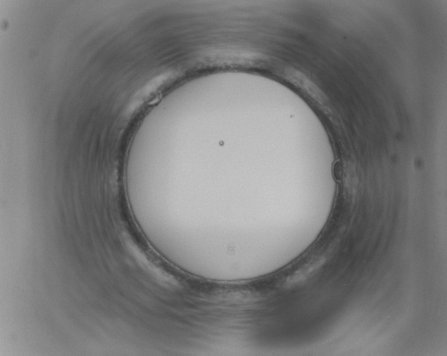 X0000061730629200512231435