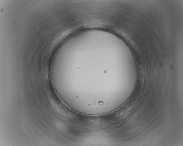 X0000061730631200512231435