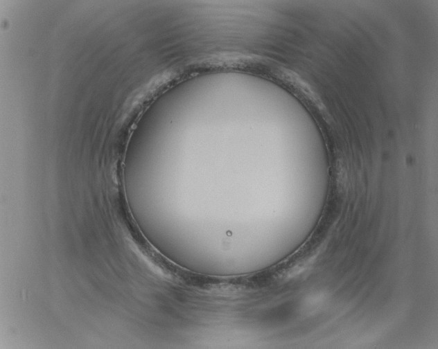 X0000061730633200512231435