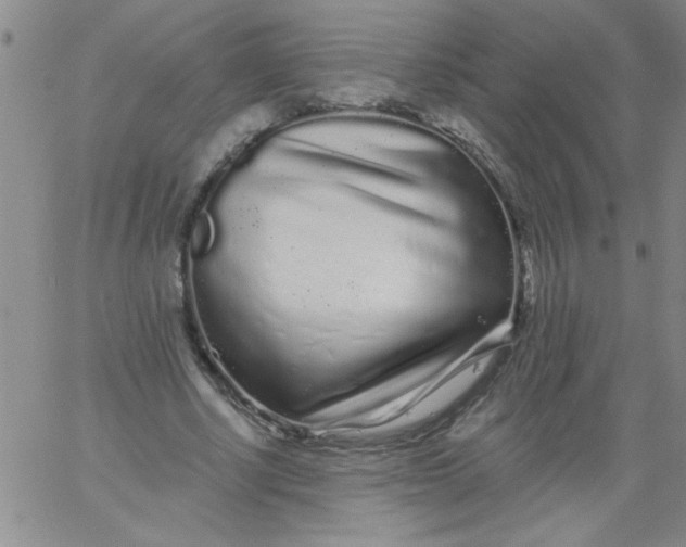 X0000061730634200512231435