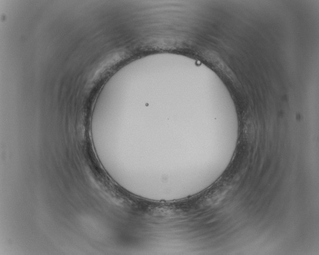 X0000061730635200512231435