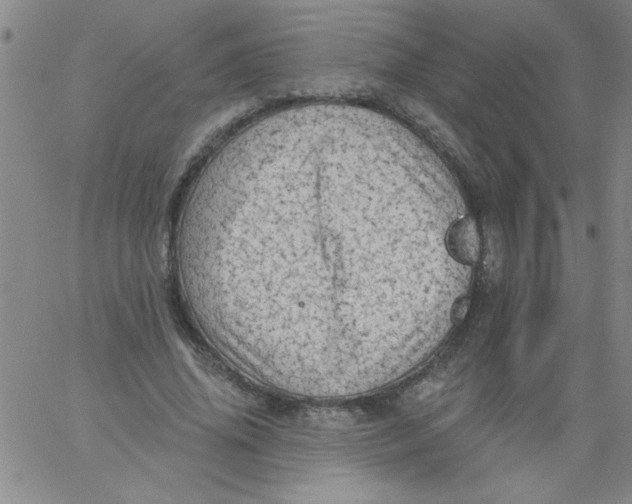 X0000061730636200512231435