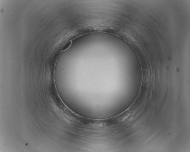 X0000061730639200512231435