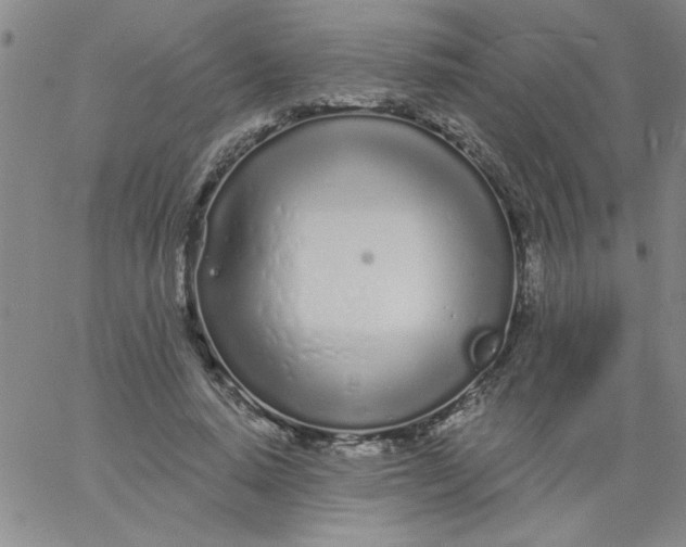 X0000061730640200512231435