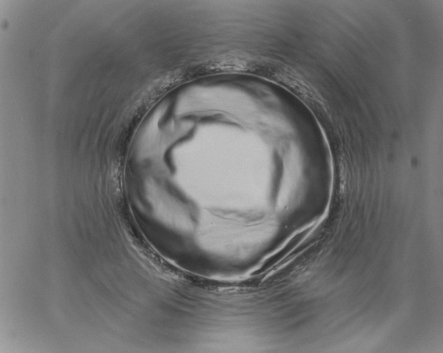 X0000061730641200512231435