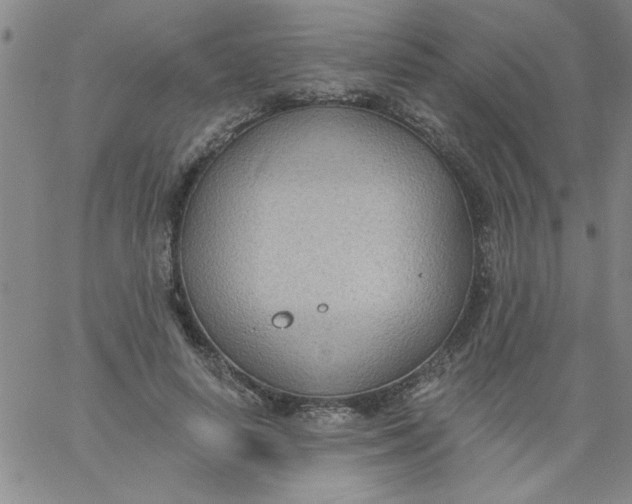 X0000061730642200512231436