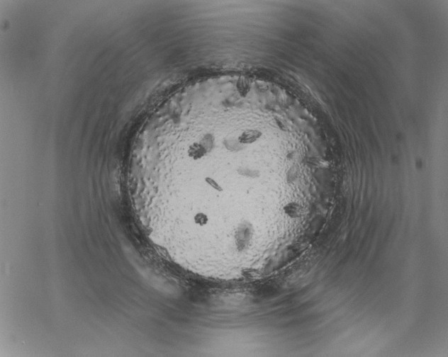 X0000061730643200512231436