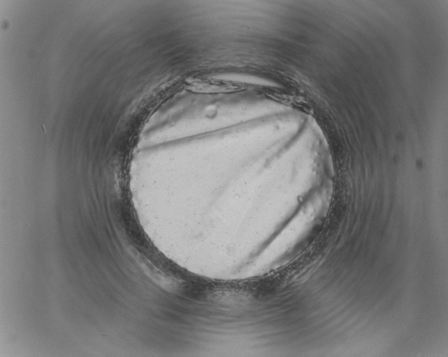 X0000061730644200512231436