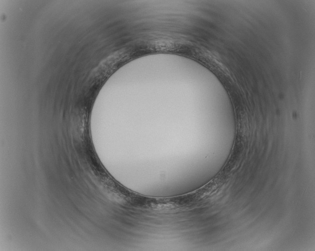 X0000061730645200512231436