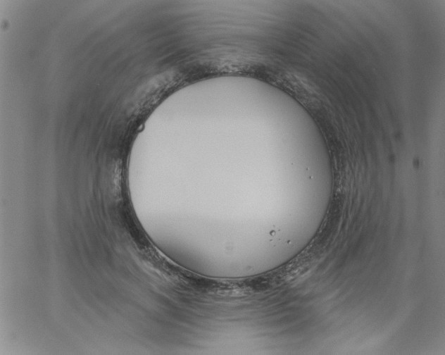 X0000061730646200512231436