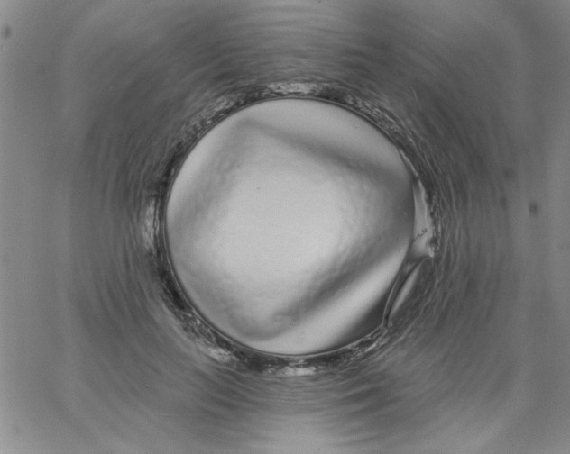 X0000061730647200512231436