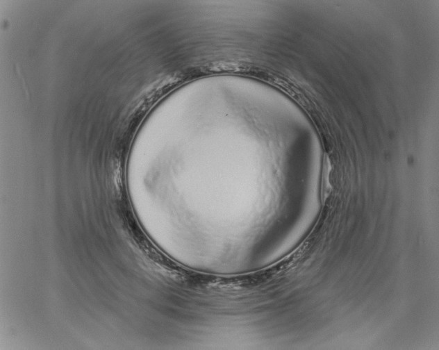 X0000061730648200512231436