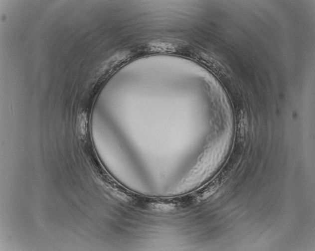 X0000061730649200512231436