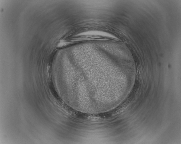 X0000061730650200512231436