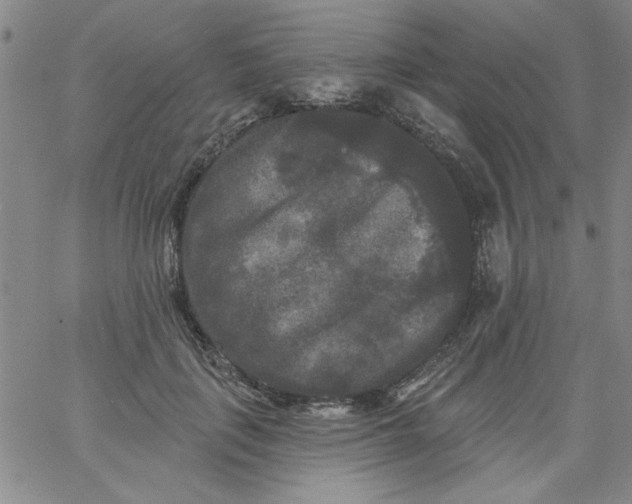 X0000061730651200512231436