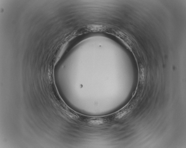 X0000061730653200512231436