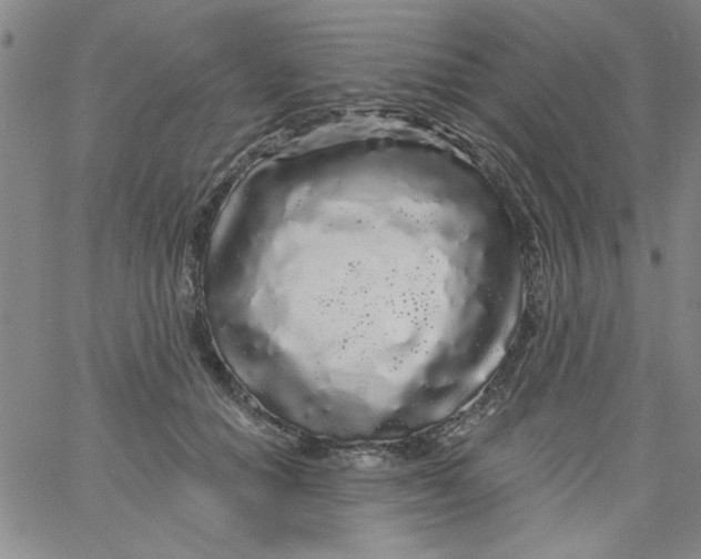 X0000061730654200512231436