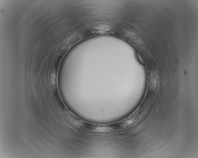 X0000061730657200512231436