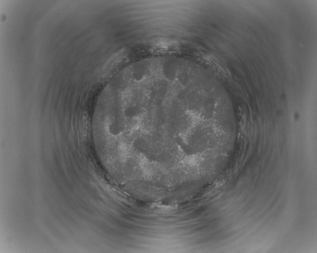 X0000061730659200512231436