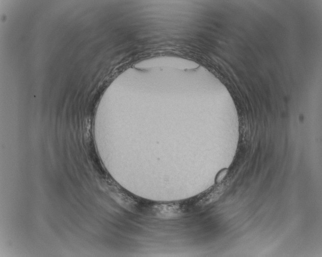 X0000061730660200512231436