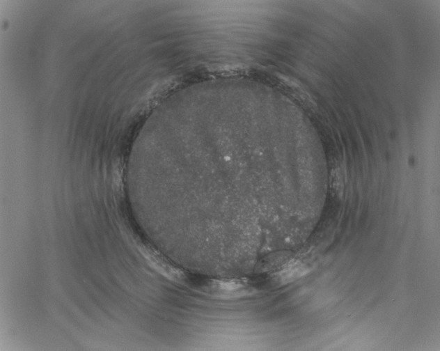 X0000061730662200512231436