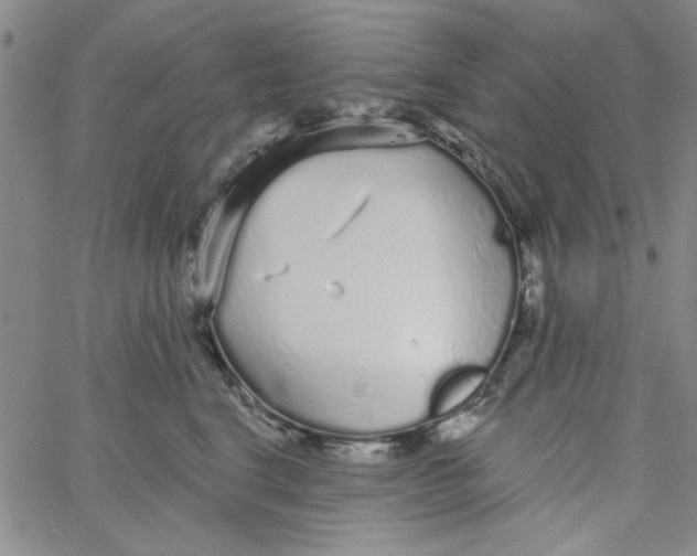 X0000061730664200512231436