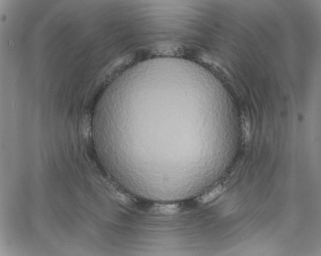 X0000061730665200512231436