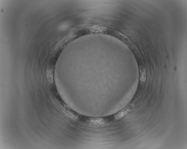 X0000061730666200512231436