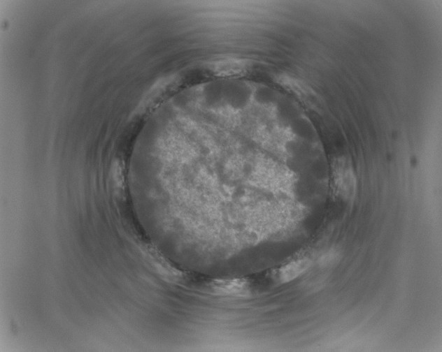 X0000061730667200512231436