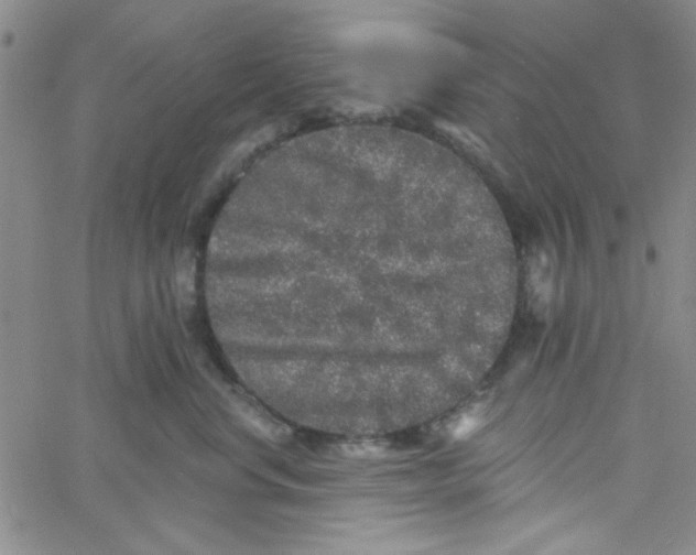 X0000061730668200512231436