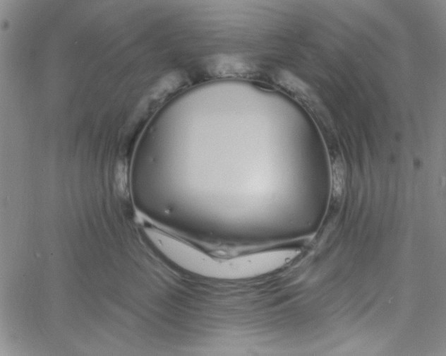 X0000061730669200512231436