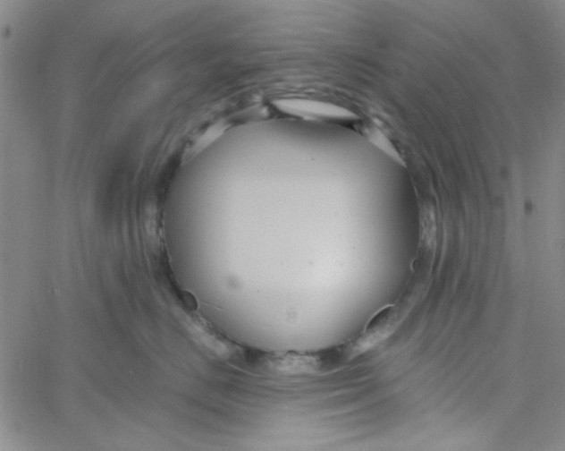 X0000061730670200512231436