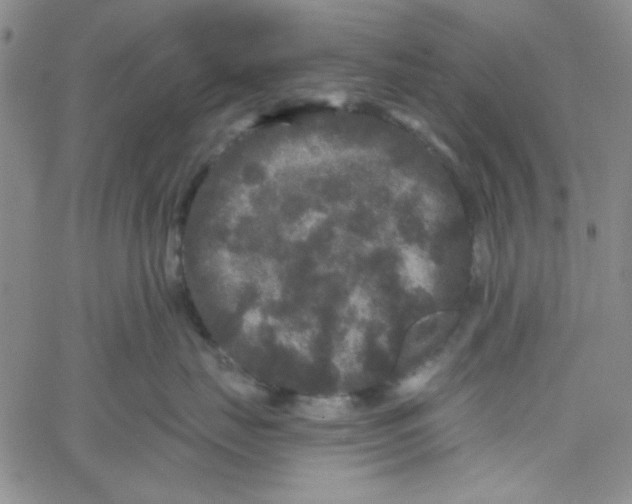 X0000061730671200512231436