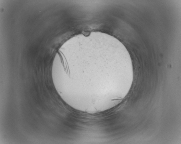 X0000061730672200512231436