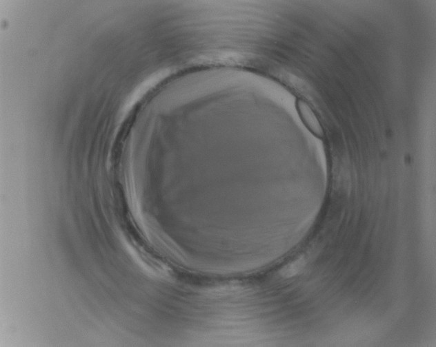 X0000061730674200512231435