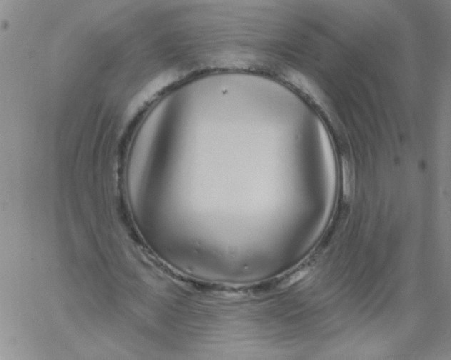 X0000061730675200512231435