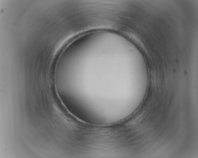 X0000061730676200512231435