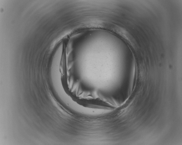 X0000061730677200512231435