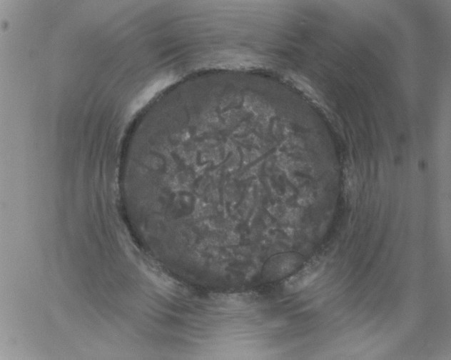 X0000061730679200512231435