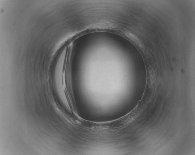 X0000061730680200512231435