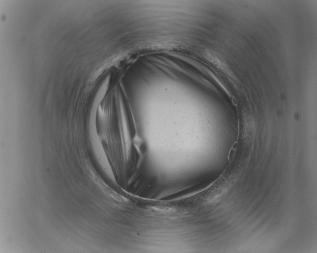 X0000061730681200512231435